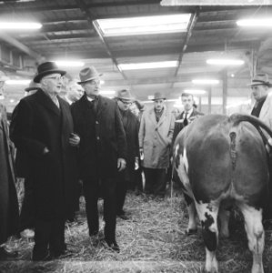 Paasveetentoonstelling in Rotterdam, tijdens rondgang, Bestanddeelnr 916-1889