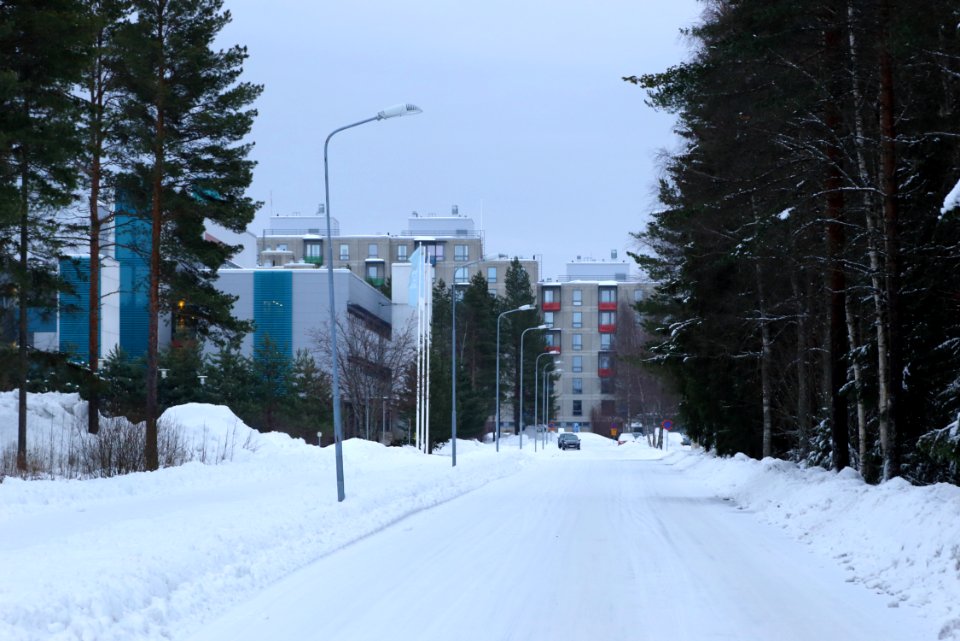 Paavo Havaksen tie Oulu 20180101 02