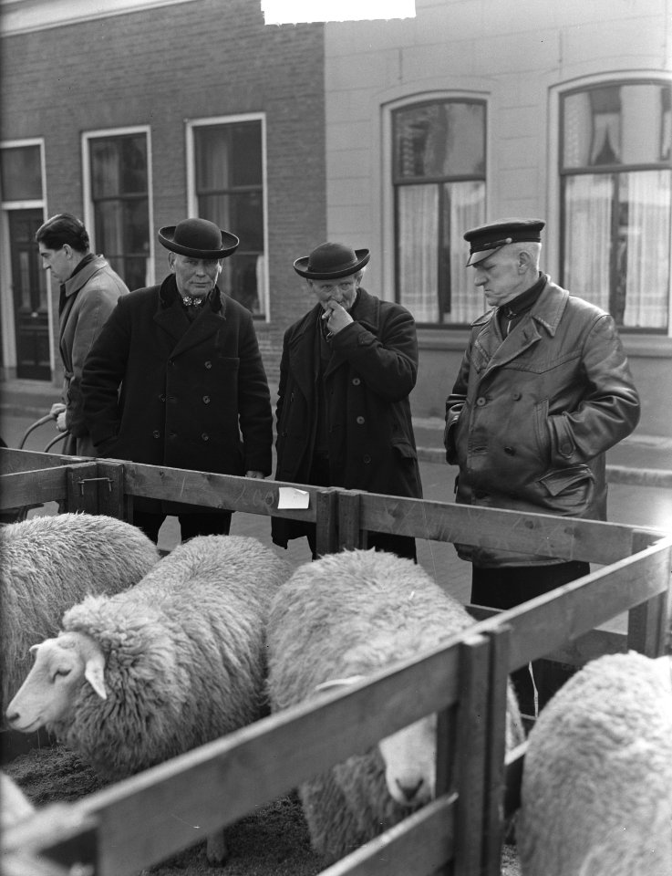 Paasveemarkt in Goes, Bestanddeelnr 904-4583