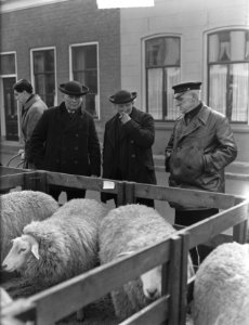 Paasveemarkt in Goes, Bestanddeelnr 904-4583
