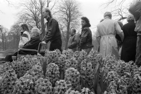 Paasdrukte op de Keukenhof te Lisse, Bestanddeelnr 934-2225