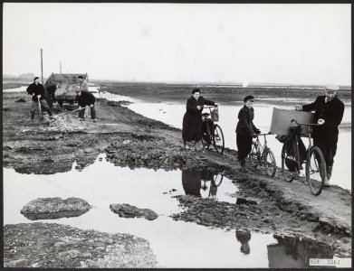 Ouwerkerk na 19 maanden uit zijn isolement bevrijd. De familie Van Oeveren op de, Bestanddeelnr 059-1303