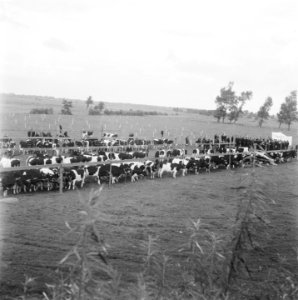 Overzicht, Bestanddeelnr 900-8512