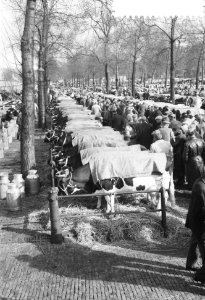 Paasveetentoonstelling in Rotterdam, Bestanddeelnr 912-2585
