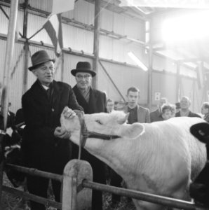 Paasveetentoonstelling in Rotterdam, tijdens rondgang, Bestanddeelnr 916-1890