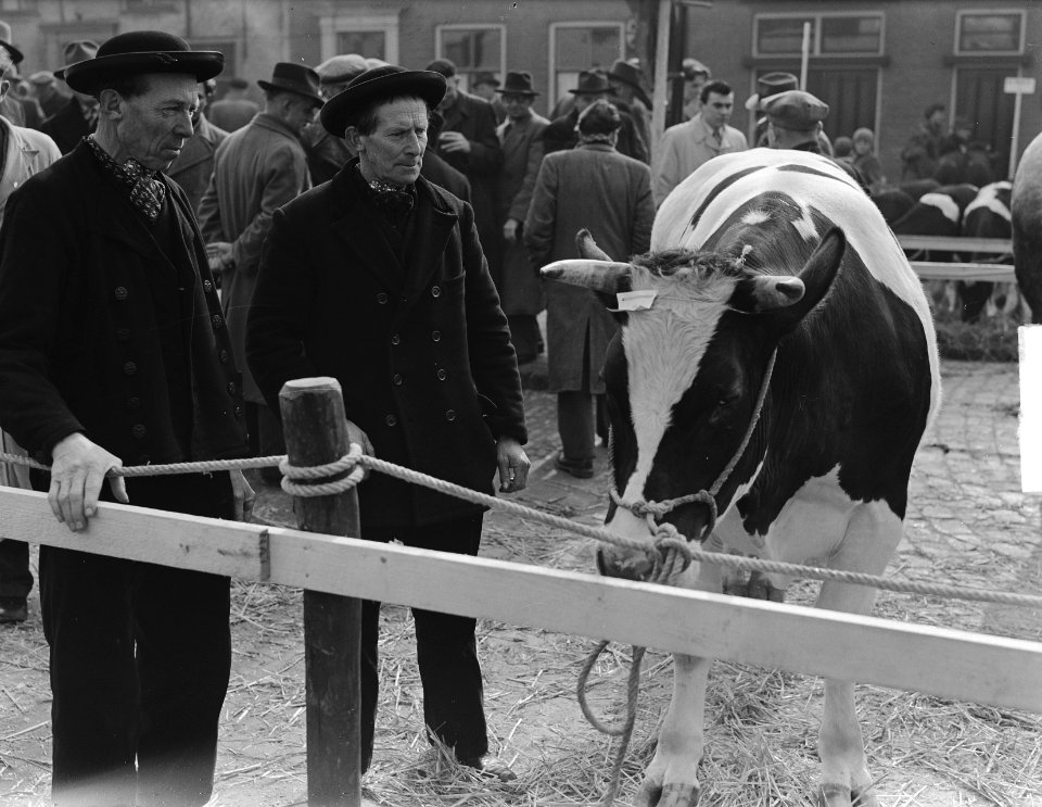 Paasveemarkt in Goes, Bestanddeelnr 904-4585