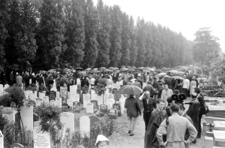 Overzicht begraafplaats Vredenhof, Bestanddeelnr 919-2638