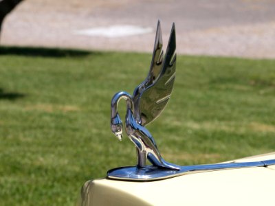 Packard in Portugal, pic5 at the SPECIAAL Auto Evenement Nijkerk 2011