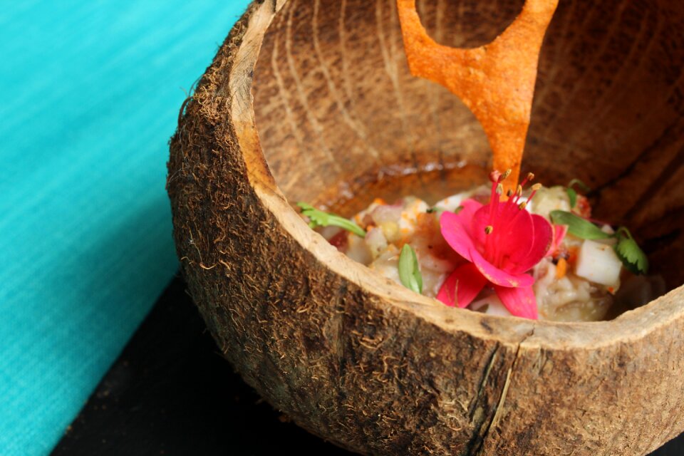 Coconut saucer kitchen