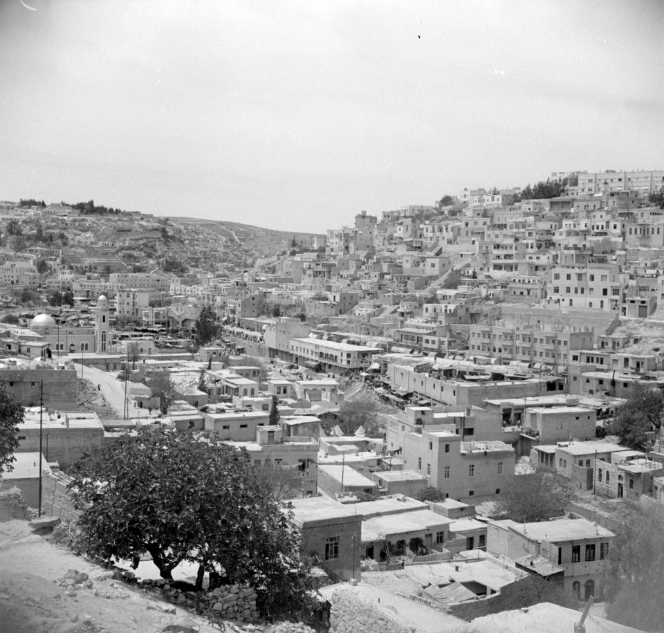 Overzicht van een gedeelte van de stad Amman, Bestanddeelnr 255-5027