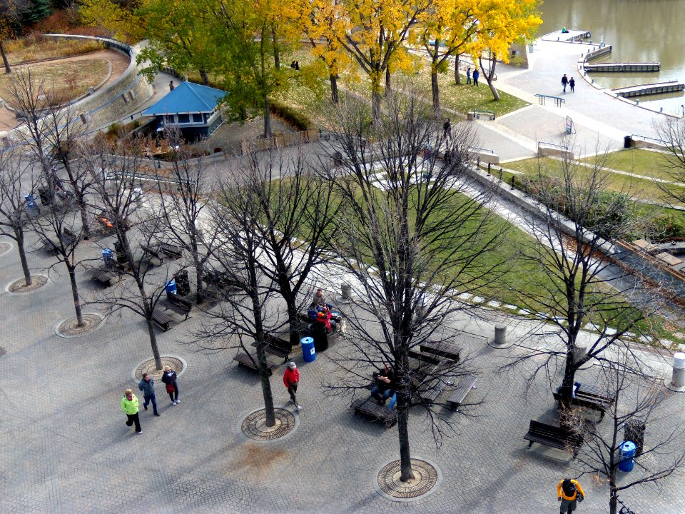 Outdoor benches at The Forks in Winnipeg, Manitoba