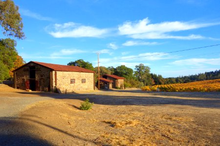 Outbuildings with vinyard - Jack London State Historic Park - DSC03941