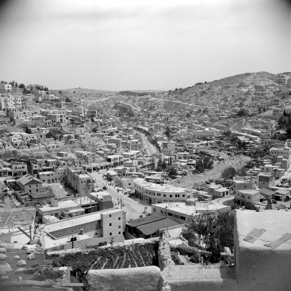 Overzicht van de stad Amman, Bestanddeelnr 255-5025