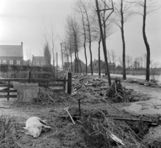 Overstromingsplaatsjes exclusieven, Bestanddeelnr 905-5194