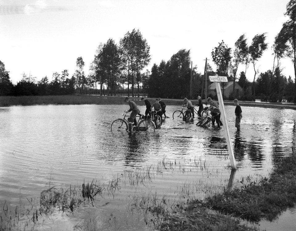 Overtollig water in Zwartebroek ( Gelderse Vallei ), Bestanddeelnr 908-9847