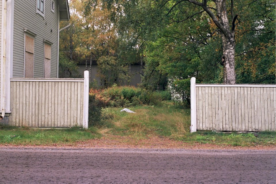 Overgrown yard in Hollihaka Sep2008 001