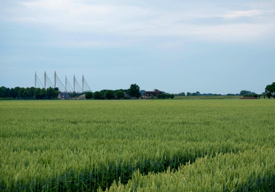 Over-Betuws landschapsbeeld met de Tacitusbrug