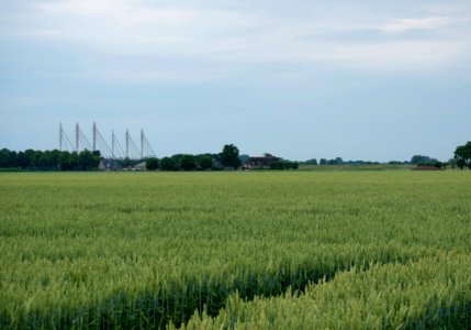 Over-Betuws landschapsbeeld met de Tacitusbrug