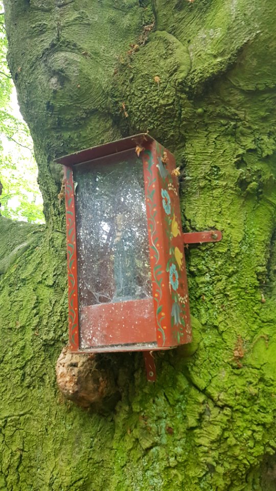 Overgeul-Gerardusbeeldje aan boom Schweibergerbos (6)