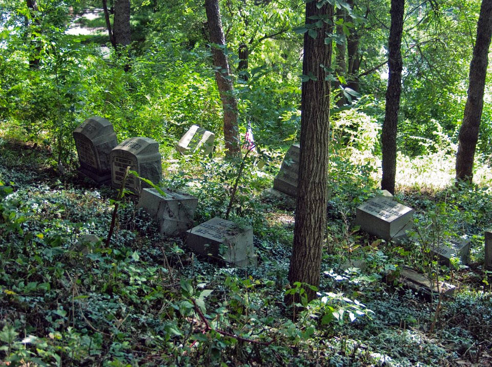 Overgrown Section, Mount Pisgah Cemetery, 2015-08-21, 01