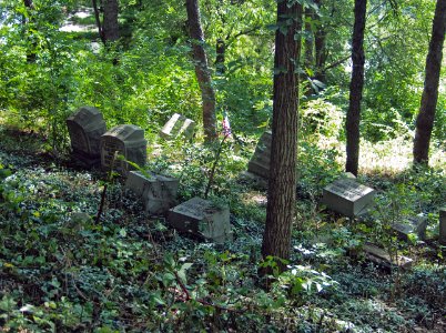 Overgrown Section, Mount Pisgah Cemetery, 2015-08-21, 01