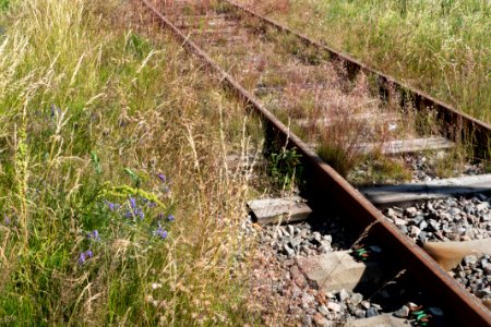 Overgrown Lysekil line 3