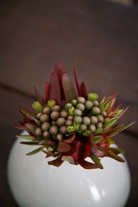 Function wedding brown wedding