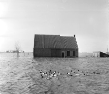 Overstromingsplaatsjes exclusieven, Bestanddeelnr 905-5193