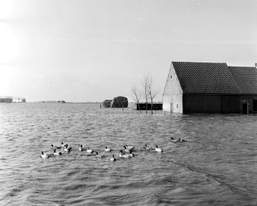 Overstromingsplaatsjes exclusieven., Bestanddeelnr 905-5192