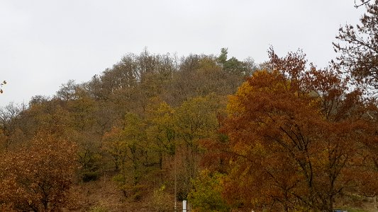 Ouren-Schiebachtal (7)