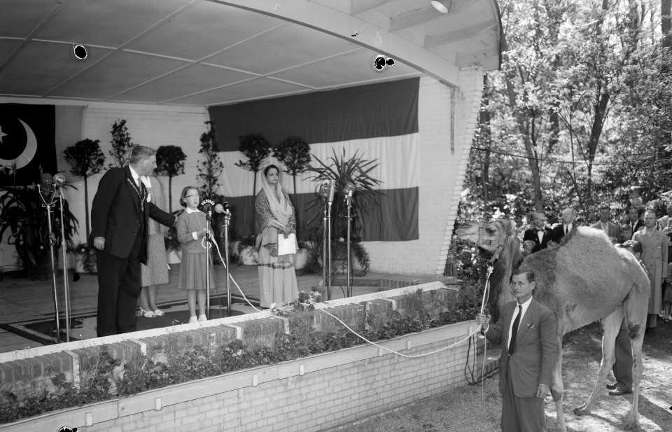 Overdracht Dromedaris aan Prinses Marijke Ouwehands Dierenpark Rhenen, Bestanddeelnr 908-6718