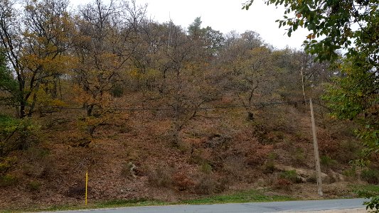 Ouren-Schiebachtal (8)