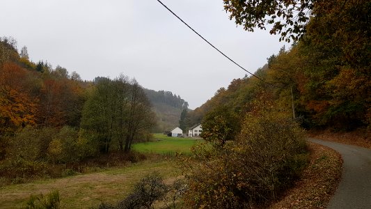Ouren-Schiebachtal (1)