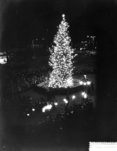 Overdracht van de door Oslo aan Rotterdam geschonken kerstboom, Bestanddeelnr 910-0478