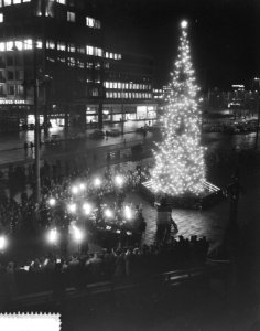 Overdracht Noorse kerstboom door burgemeester van Oslo aan Rotterdam, Bestanddeelnr 911-8940