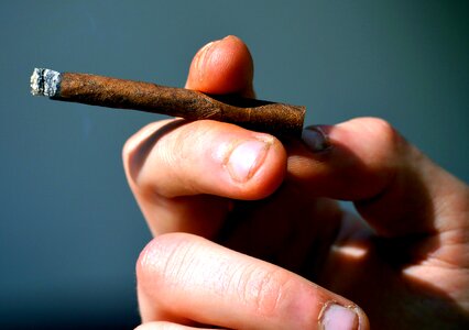 Cigarette embers ash