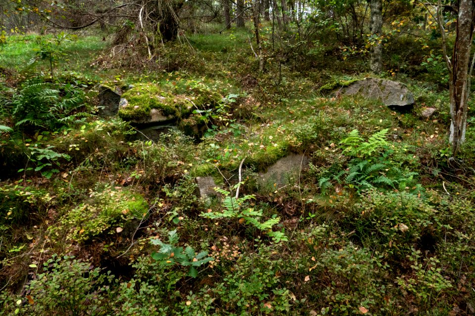 Overgrown archaeological site Brastad 79-1 (2)