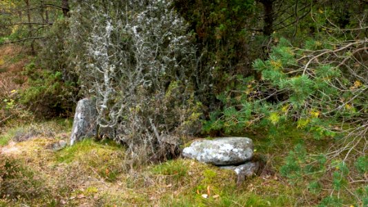 Overgrown archaeological site Brastad 75-4