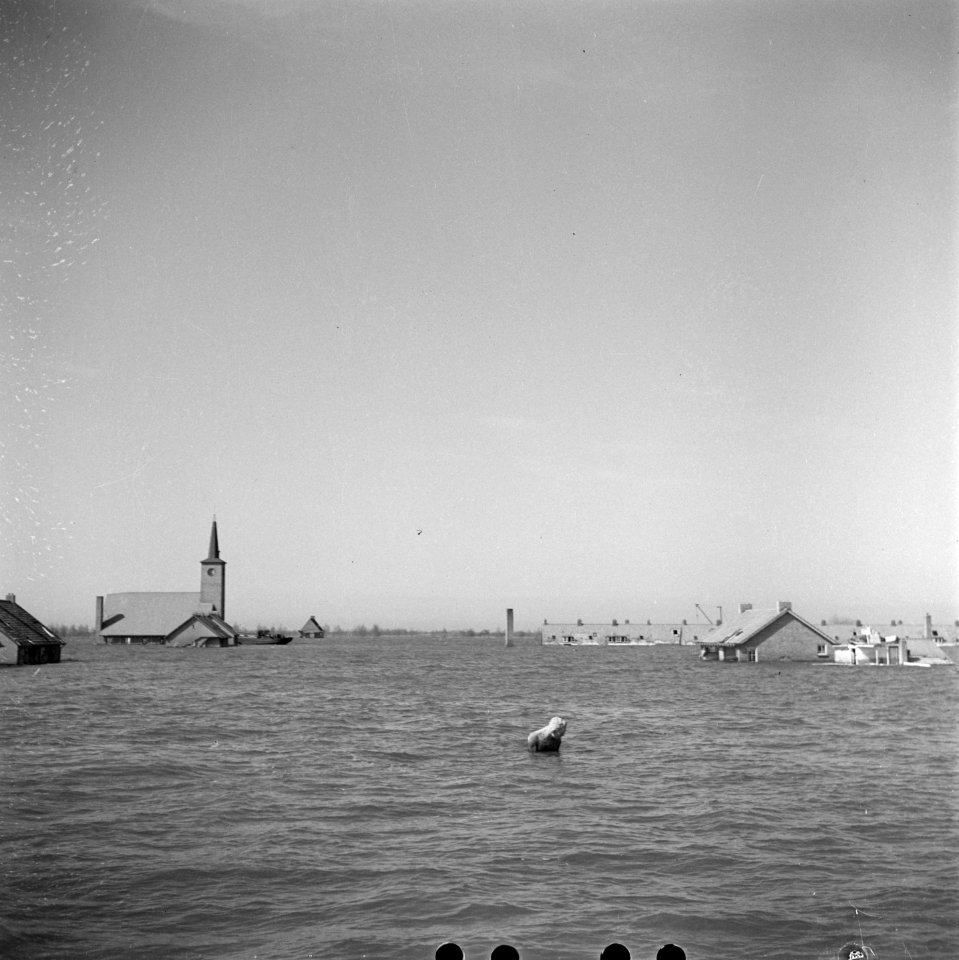Overstroming van de Wieringmeerpolder. Op 17 april 1945 hebben de Duitsers nog d, Bestanddeelnr 900-3197