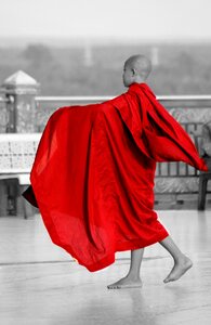 Buddhist human red photo