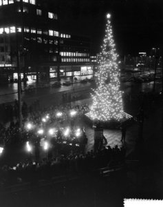 Overdracht Noorse kerstboom door burgemeester van Oslo aan Rotterdam, Bestanddeelnr 911-8941