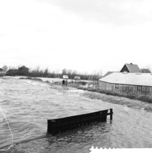 Overstroming in Rijnsaterswoude, overzicht dijkje, Bestanddeelnr 911-8431