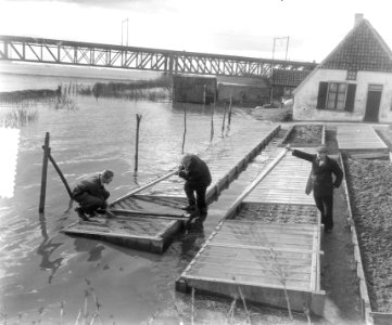 Overstroming Lent (Nijmegen), Bestanddeelnr 905-0346