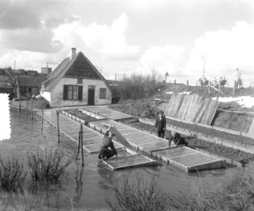 Overstroming Lent (Nijmegen), Bestanddeelnr 905-0344