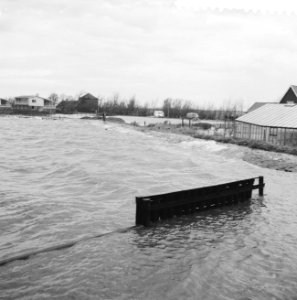 Overstroming in Rijnsaterswoude, overstroomde kwekerij, Bestanddeelnr 911-8428