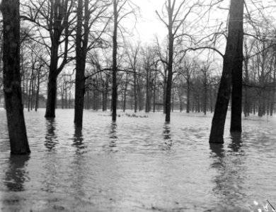 Overstroming in de Achterhoek, Bestanddeelnr 901-4534