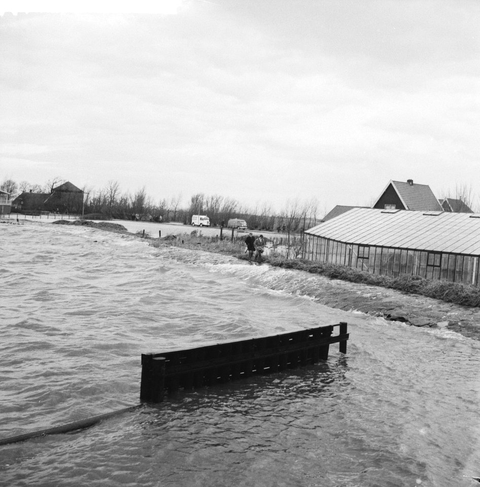 Overstroming in Rijnsaterswoude, overstroomde kwekerij, Bestanddeelnr 911-8425