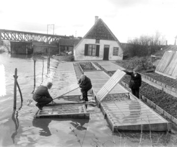 Overstroming Lent (Nijmegen), Bestanddeelnr 905-0345