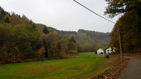 Ouren-Schiebachtal (2)