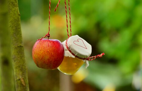 Jar garden fruit